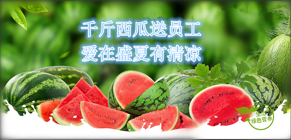 通達軟件公司： 千斤西瓜送員工，愛在盛夏有清涼